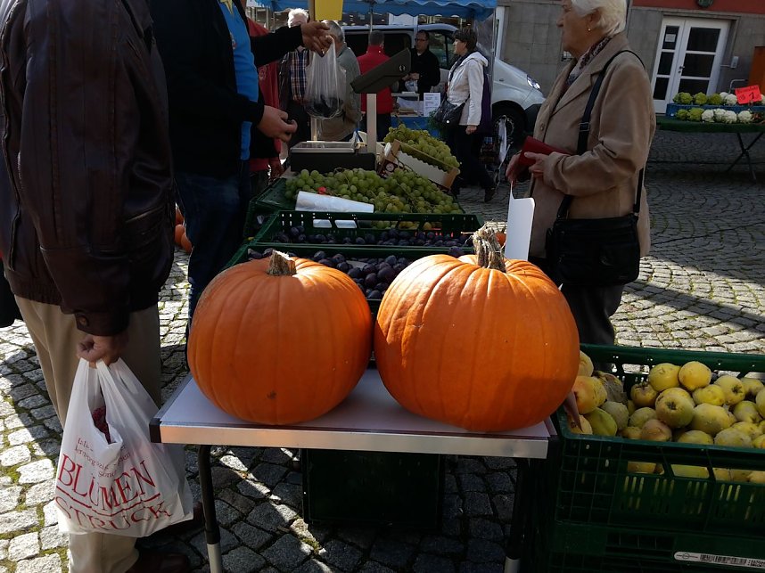 K&uuml;rbisse und Zwiebeln