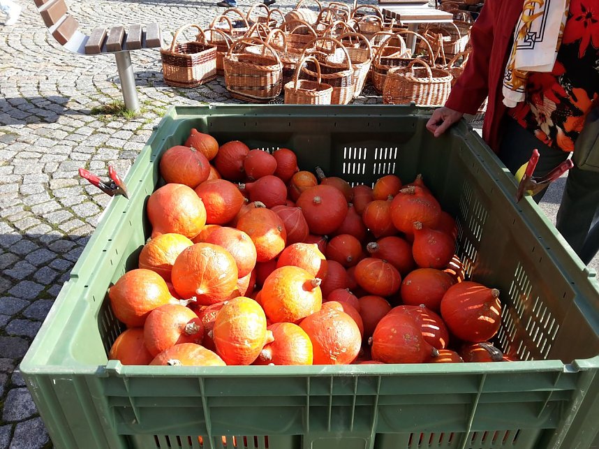 K&uuml;rbisse und Zwiebeln