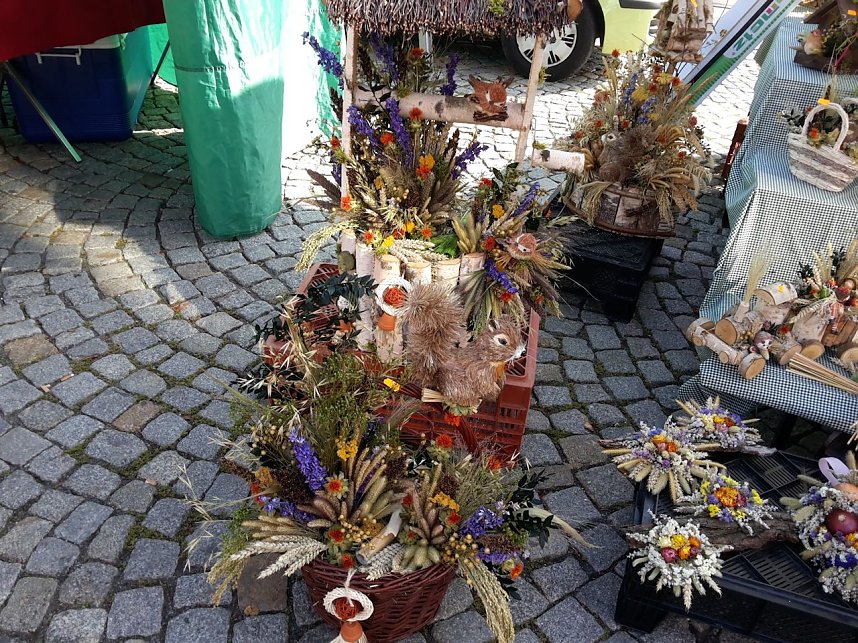 K&uuml;rbisse und Zwiebeln