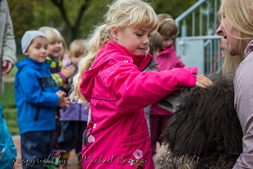 Therapiehunde unterwegs