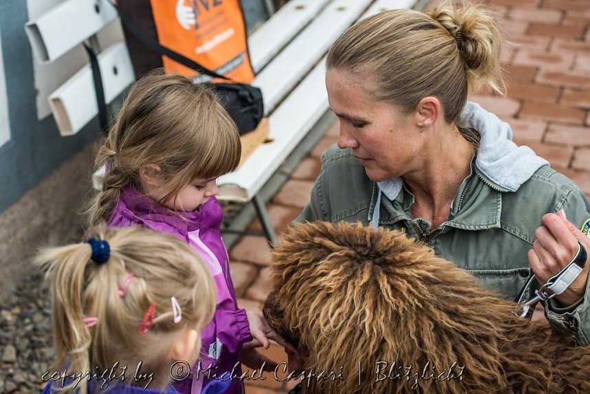 Therapiehunde unterwegs