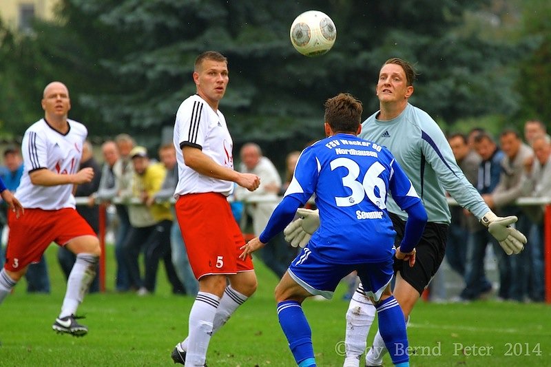 Acht Tore im Elstertal