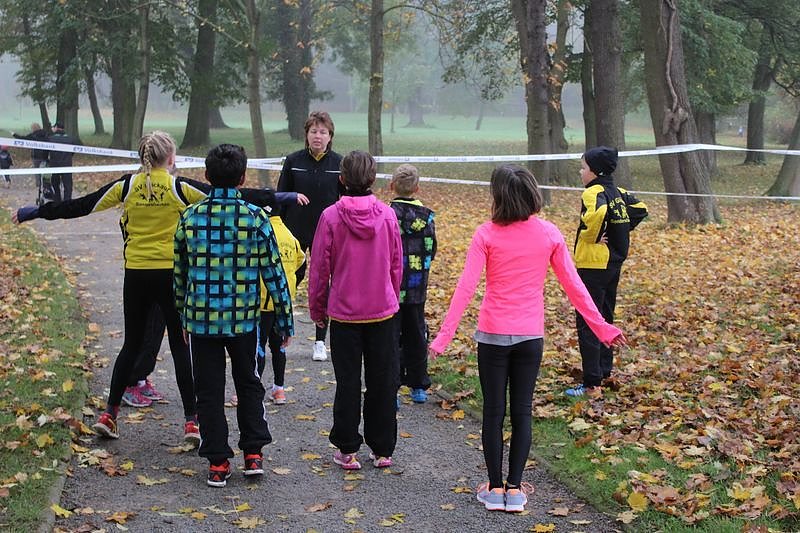 Stadtparklauf in Sondershausen