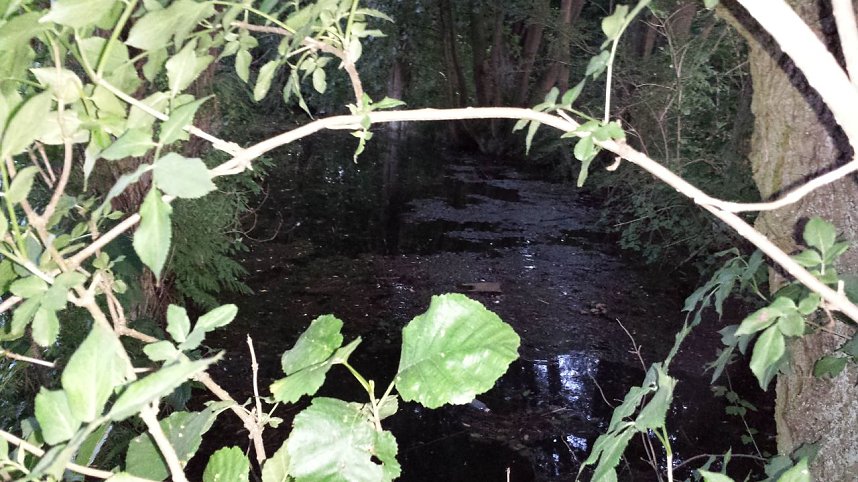 Rund um die Salza-Quelle