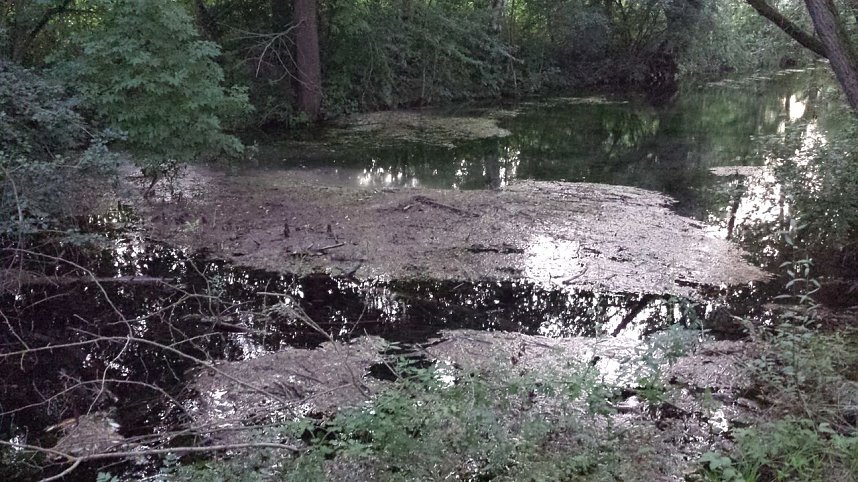 Rund um die Salza-Quelle