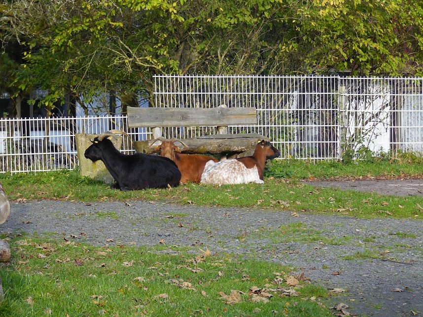 Zum Besuch im Hufhaus