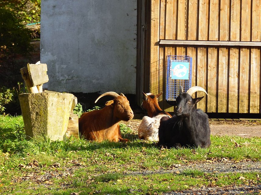 Zum Besuch im Hufhaus
