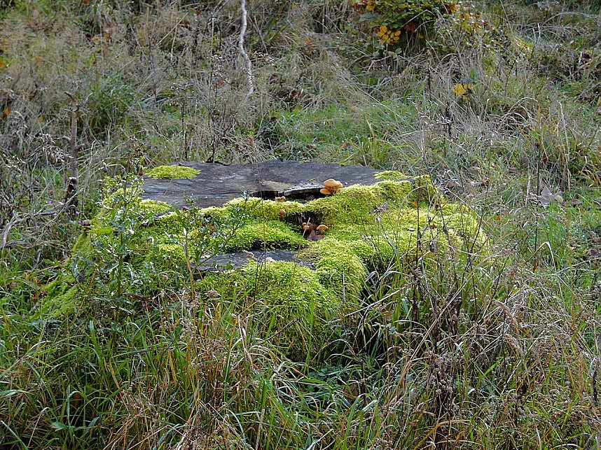 Zum Besuch im Hufhaus