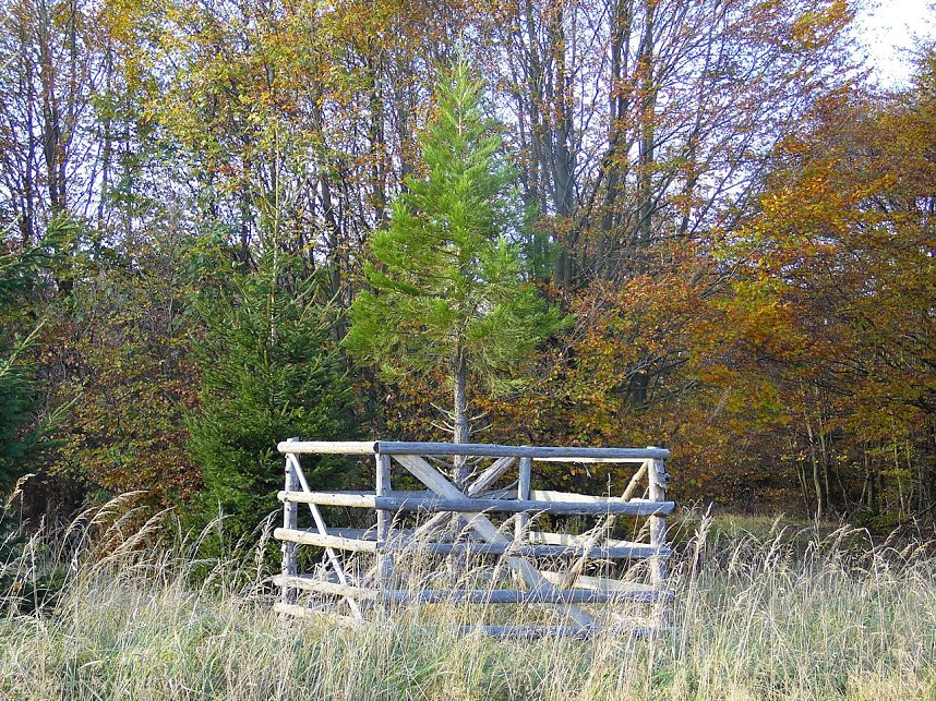 Zum Besuch im Hufhaus