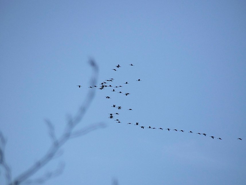 Zum Besuch im Hufhaus