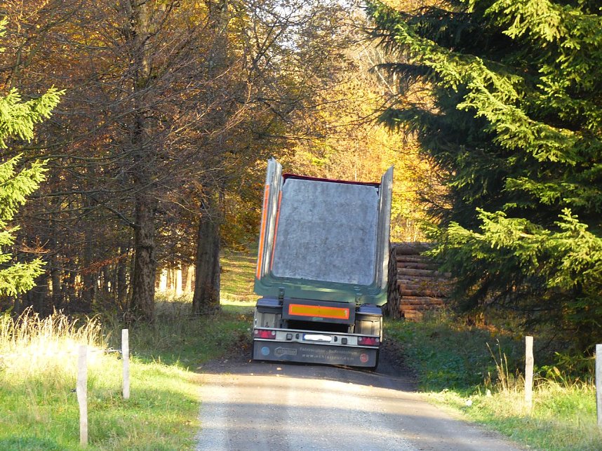 Zum Besuch im Hufhaus