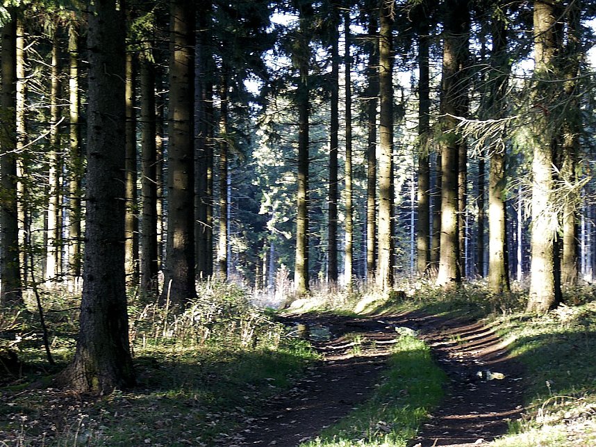 Zum Besuch im Hufhaus