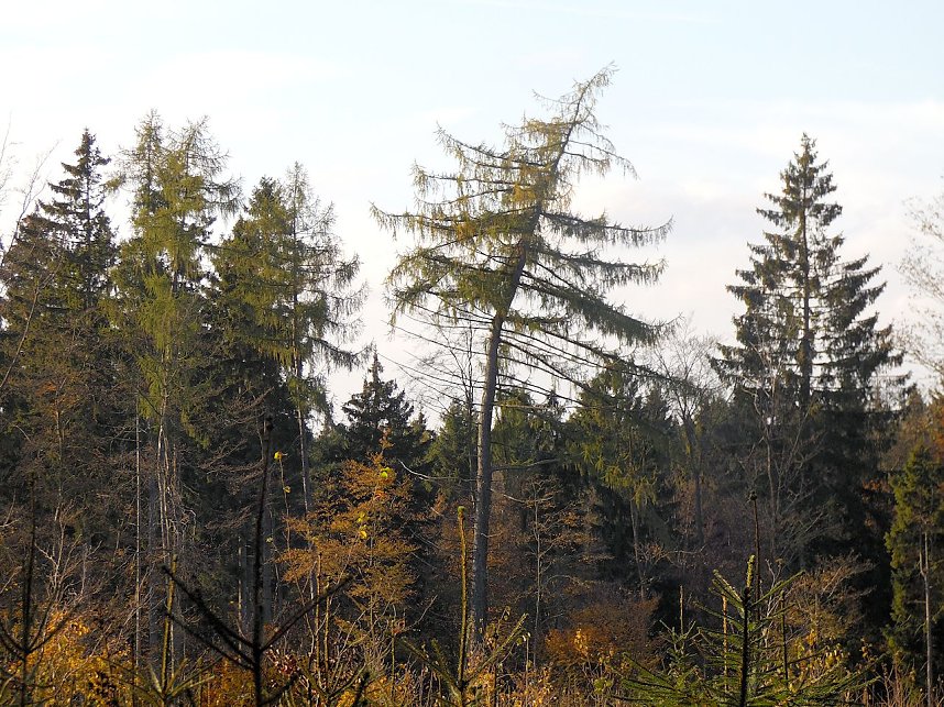 Zum Besuch im Hufhaus