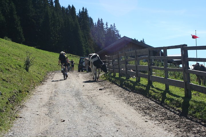 kurz vor der Patscher Alm (1773m)