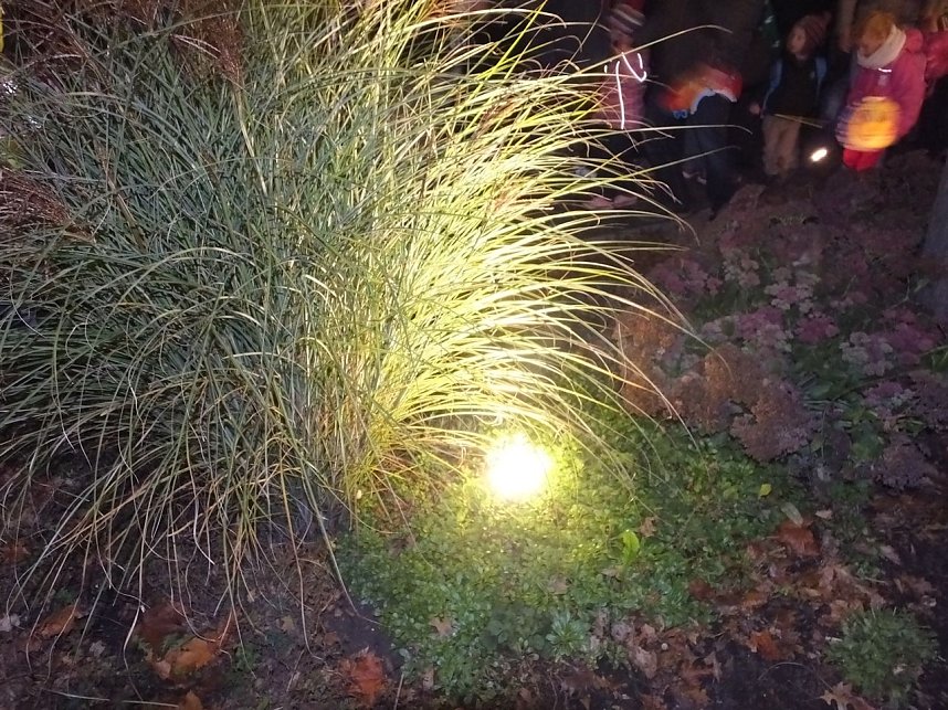 Das Martinsfest 2014 auf dem Theaterplatz