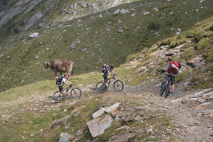Auffahrt zum Flatschjoch (2395m)