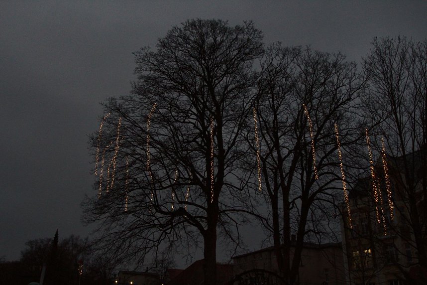 Es weihnachtet am Theater in Nordhausen
