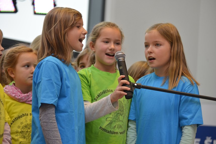 Vorfreude,sch&ouml;nste Freude