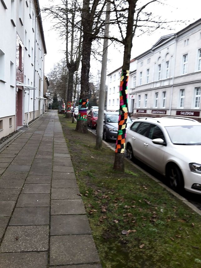 Die Apotheke am Theater versucht sich im "Urban Knitting" und packt ihre B&auml;ume warm ein