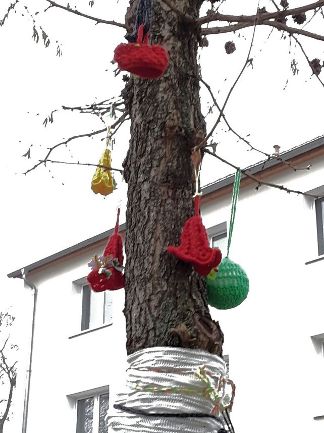 Die Apotheke am Theater versucht sich im "Urban Knitting" und packt ihre B&auml;ume warm ein