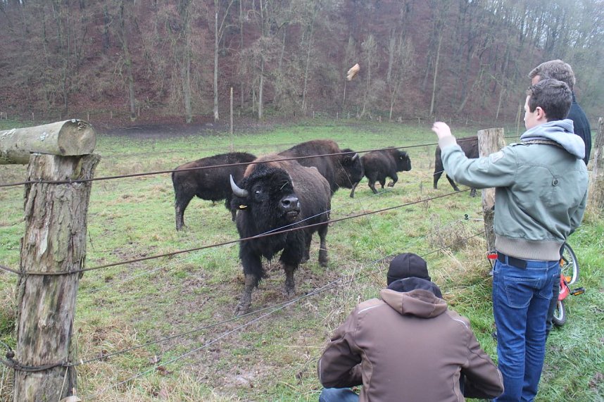 Kein neuer Gipsabbau im S&uuml;dharz - in R&uuml;digsdorf wird wieder protestiert