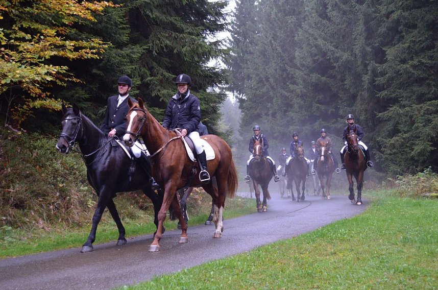 Erfolgreiches Jahr f&uuml;r den Verein