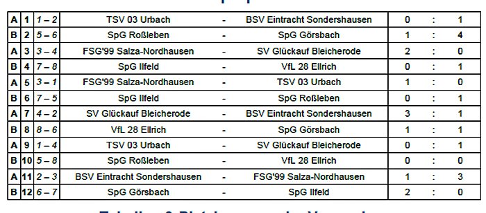 Hallenmeisterschaft der E-Junioren