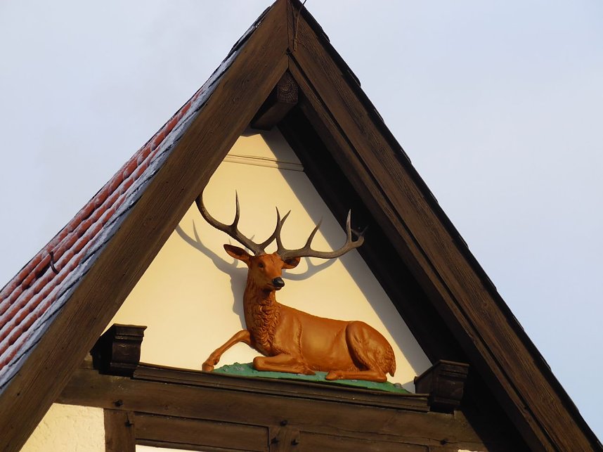 Unterwegs in Ilsenburg