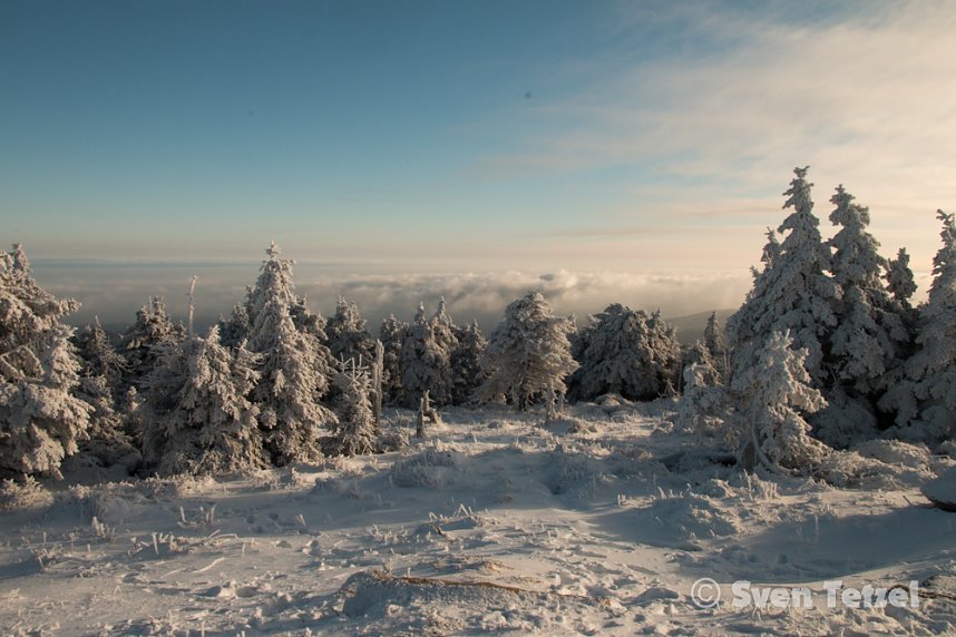 Auf dem Brocken
