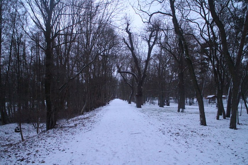 Der Winter ist zur&uuml;ck in Nordhausen