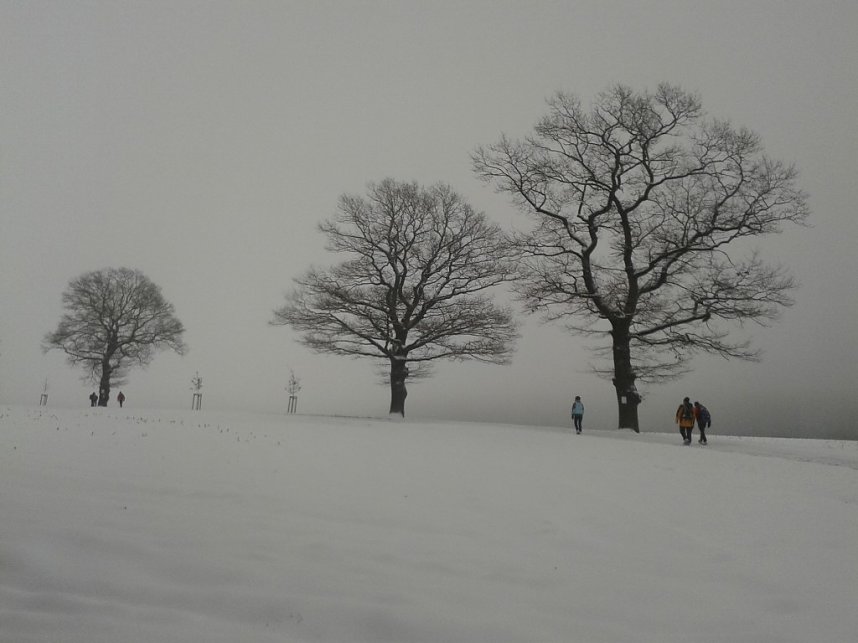 100 Kilometer durchs Vogtland