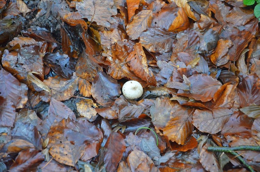 Protest gegen Probebohrungen