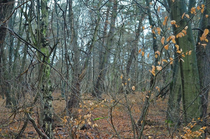 Protest gegen Probebohrungen