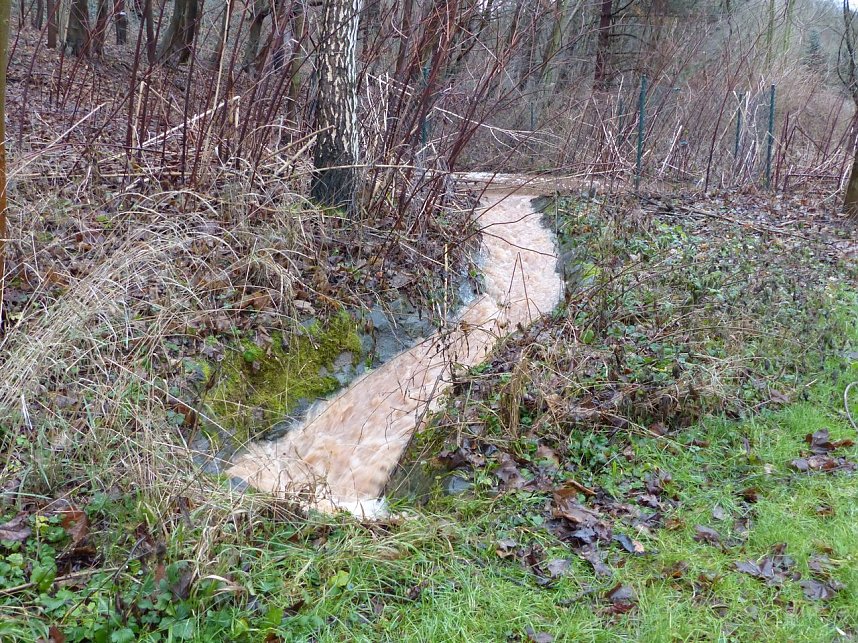 Parkallee &uuml;berflutet