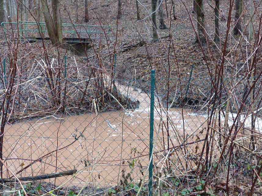 Parkallee &uuml;berflutet