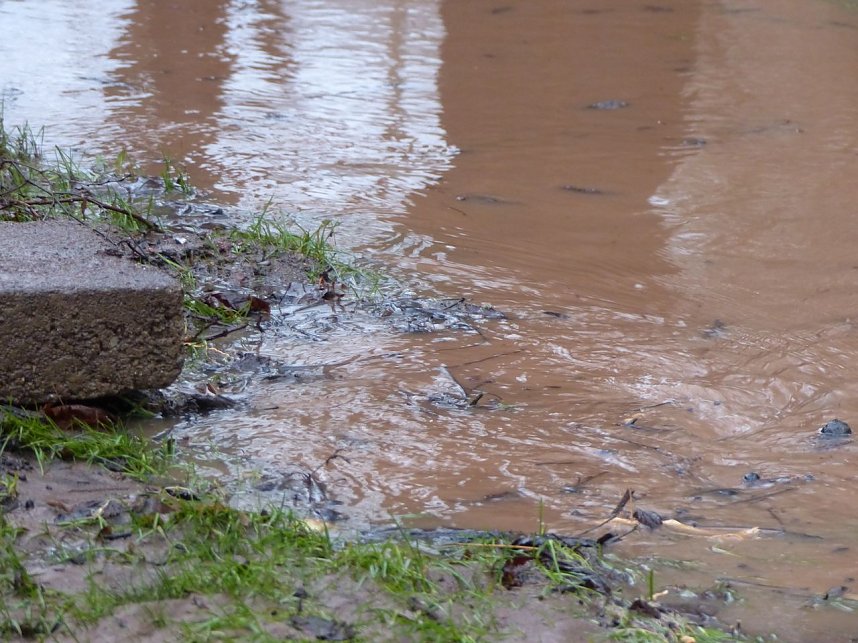 Parkallee &uuml;berflutet