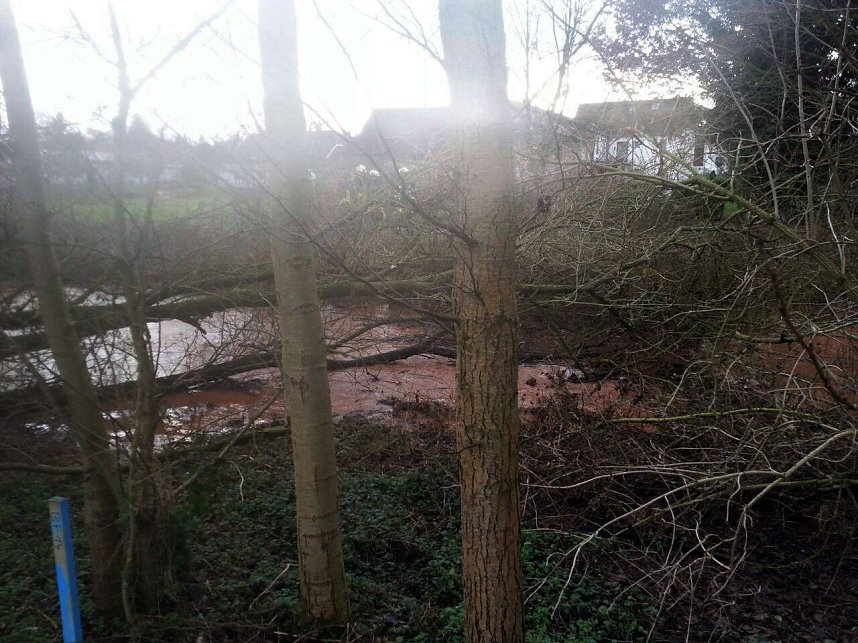 Einsatz bei P&uuml;tzlingen