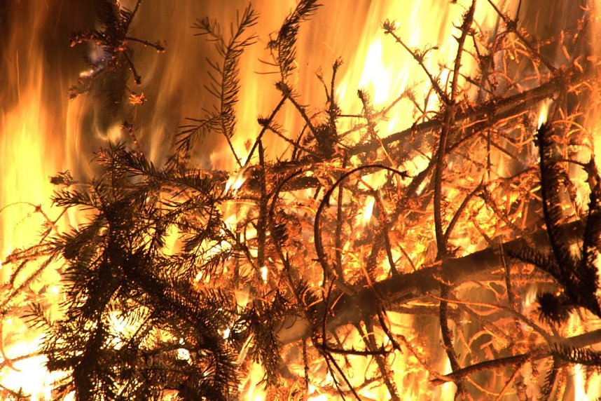 Heringen feierte ein feuriges "Knut" - Fest und entledigte sich seiner alten Weihnachtsb&auml;ume