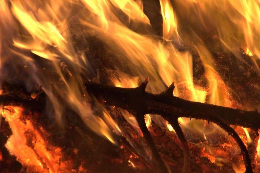 Heringen feierte ein feuriges "Knut" - Fest und entledigte sich seiner alten Weihnachtsb&auml;ume