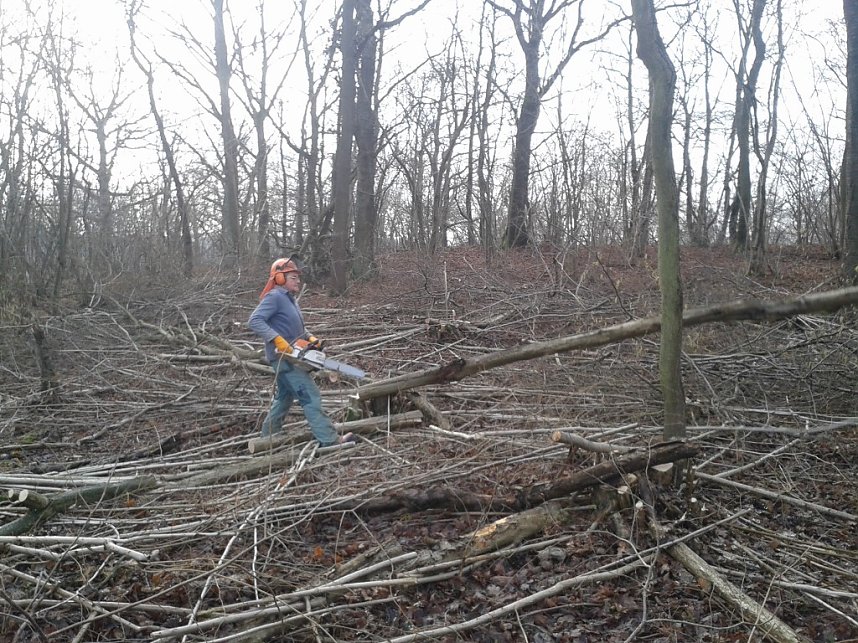 Sonderneinsatz f&uuml;r eine Blume - der BUND Nordhausen legte sich am Wochenende f&uuml;r das Blasse Knabenkraut ins Zeug