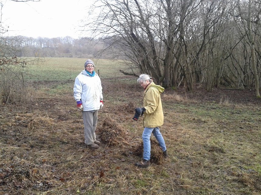Sonderneinsatz f&uuml;r eine Blume - der BUND Nordhausen legte sich am Wochenende f&uuml;r das Blasse Knabenkraut ins Zeug