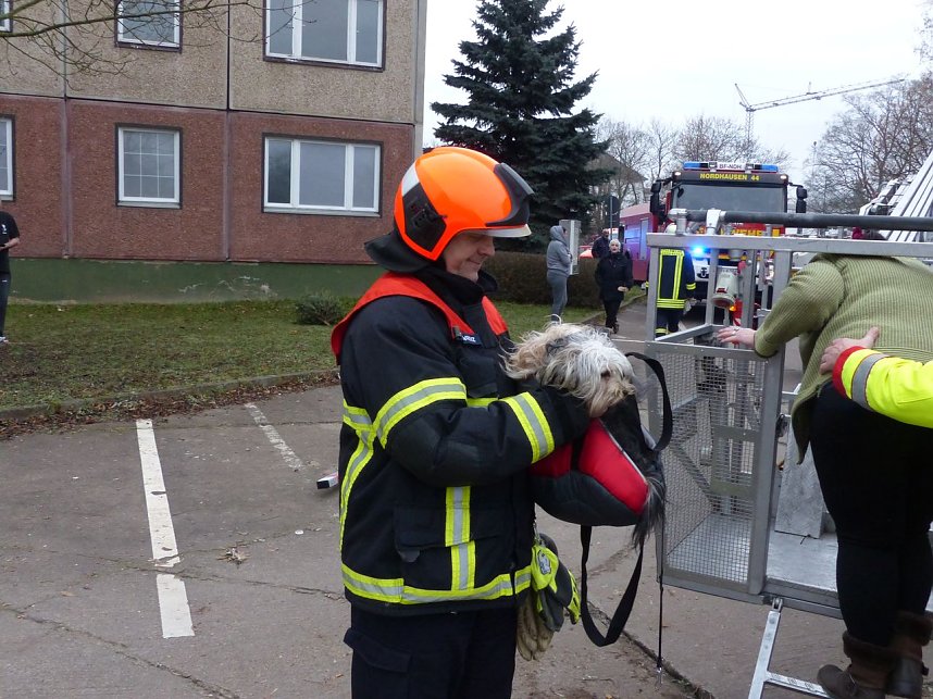 Kellerbrand in der Halleschen Stra&szlig;e
