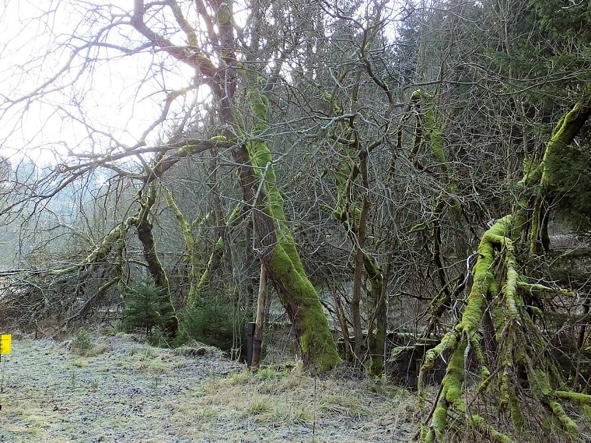 Myteri&ouml;ser Ort im Harz