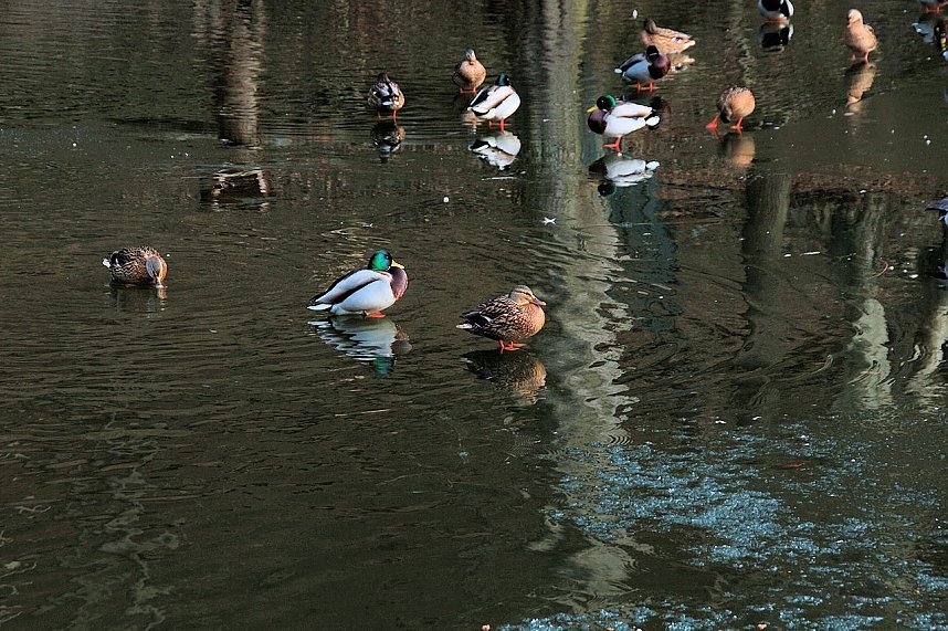 Besuch im Werniger&ouml;der Tierpark