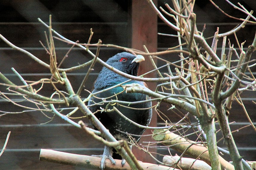 Besuch im Werniger&ouml;der Tierpark