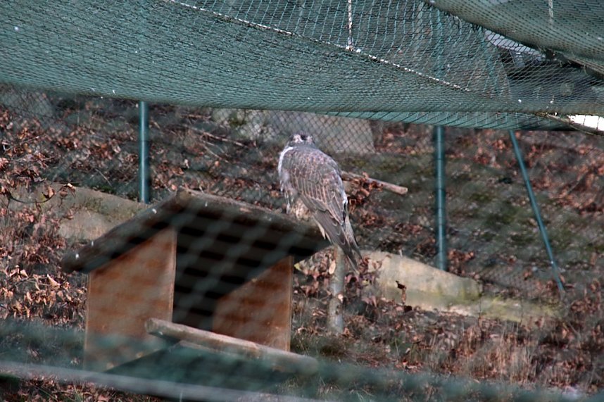 Besuch im Werniger&ouml;der Tierpark