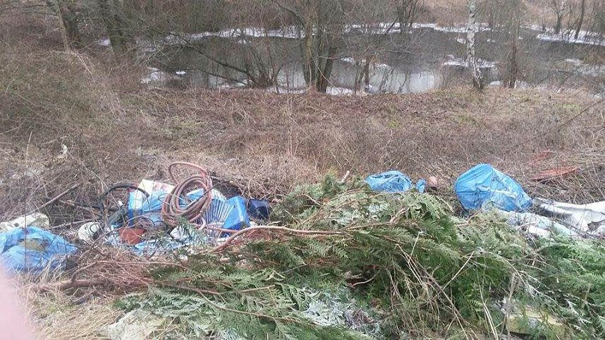 M&uuml;llberg im Naturschutzgebiet zwischen Niedersachswerfen und Woffleben