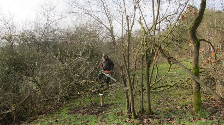 Einsatz im Ilfelder Ahornpark