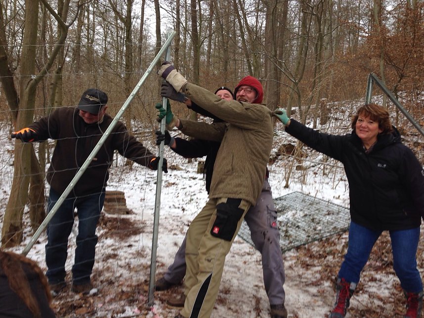 Es ist geschafft im Ilfelder Ahornpark
