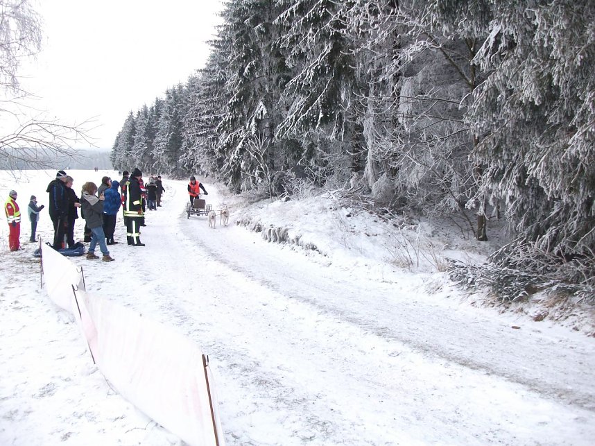 Beim Schlittenhunderennen dabei 